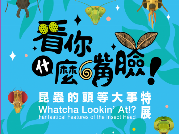 「看你什麼嘴臉！」昆蟲的頭等大事，揭開昆蟲小腦袋的大秘密！